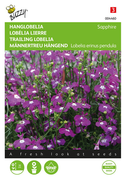 Amppelilobelia Sapphire siemenpussi edestä – Buzzy®