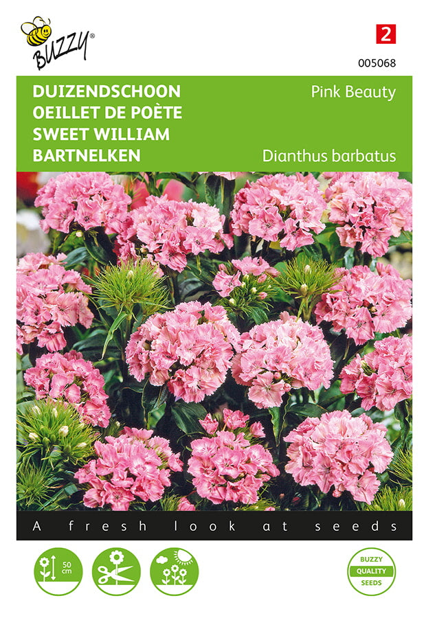 Harjaneilikka Pink Beauty siemenpussi edestä – Buzzy®