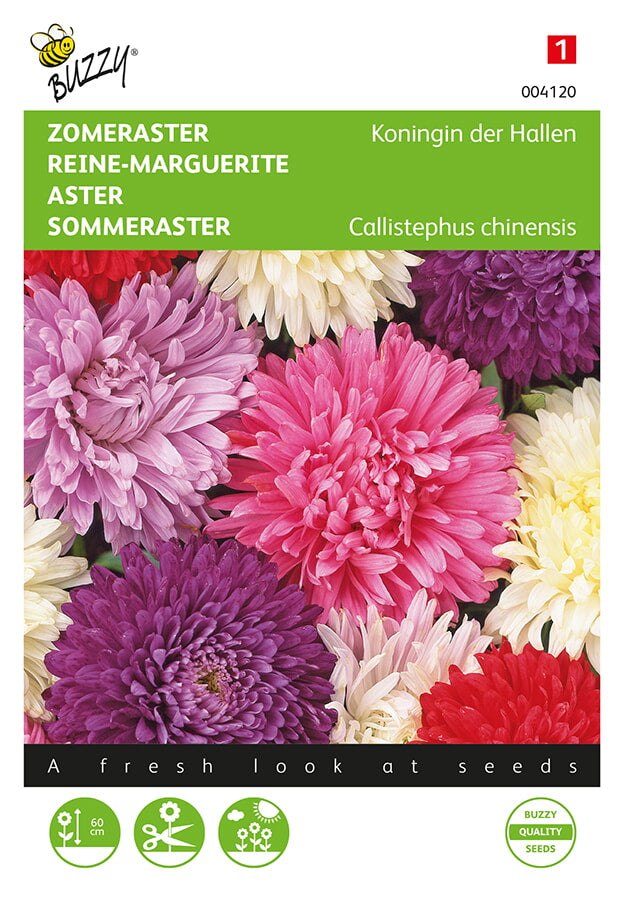 Kiinanasteri Queen of the Market Mixed siemenpussi edestä – Buzzy®