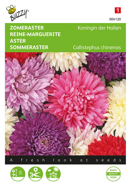 Kiinanasteri Queen of the Market Mixed siemenpussi edestä – Buzzy®