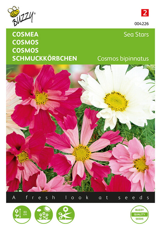 Kosmos Sea Stars Mixed siemenpussi edestä – Buzzy®