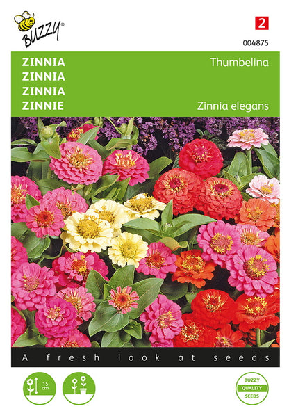 Tsinnia Thumbelina matala sekoitus siemenpussi edestä – Buzzy®