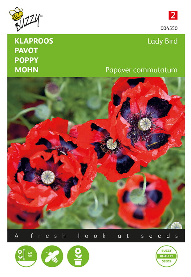 Unikko Lady Bird (turkinunikko) siemenpussi edestä – Buzzy®