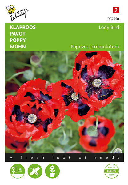 Unikko Lady Bird (turkinunikko) siemenpussi edestä – Buzzy®