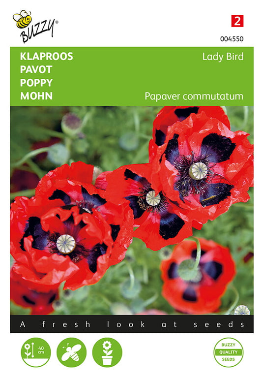Unikko Lady Bird (turkinunikko) siemenpussi edestä – Buzzy®