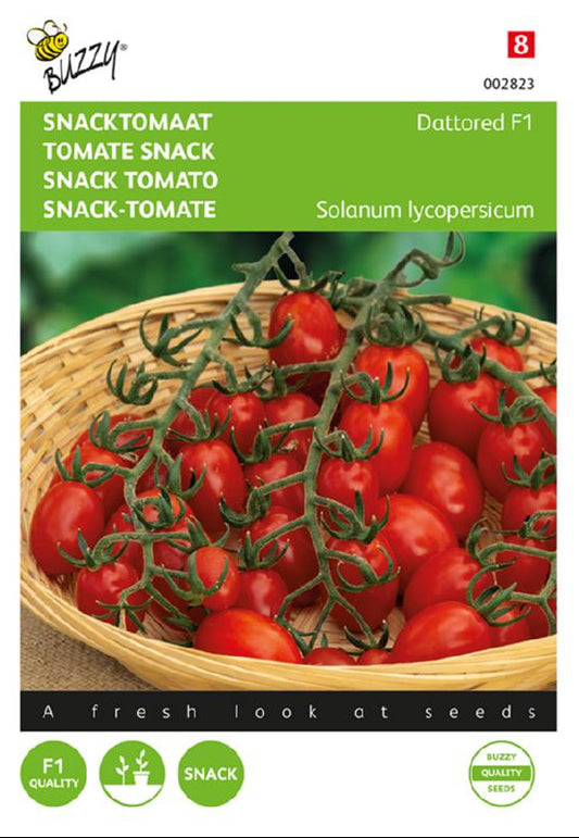 Dattored F1 snacktomaatti siemenet – Solanum lycopersicum