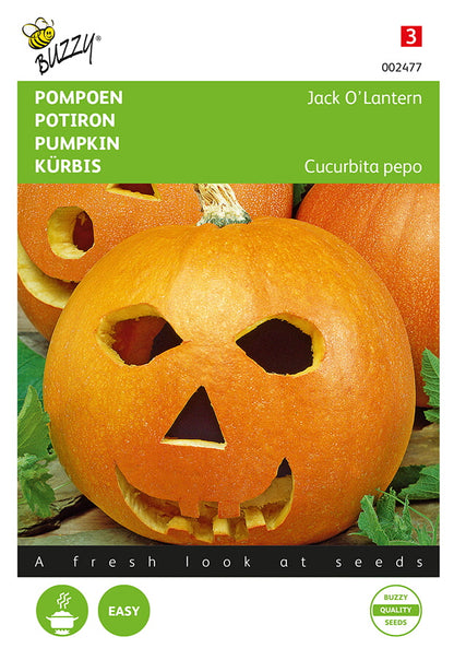 Jack O’Lantern -kurpitsan siemenpussin etupuoli, jossa näkyy klassinen oranssi halloweenkurpitsa.