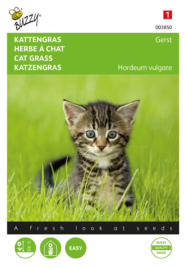 Kissanruohon siemenpussin etupuoli, jossa näkyy vihreää kissanruohoa ja kissa.