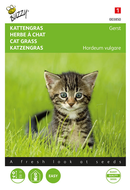 Kissanruohon siemenpussin etupuoli, jossa näkyy vihreää kissanruohoa ja kissa.