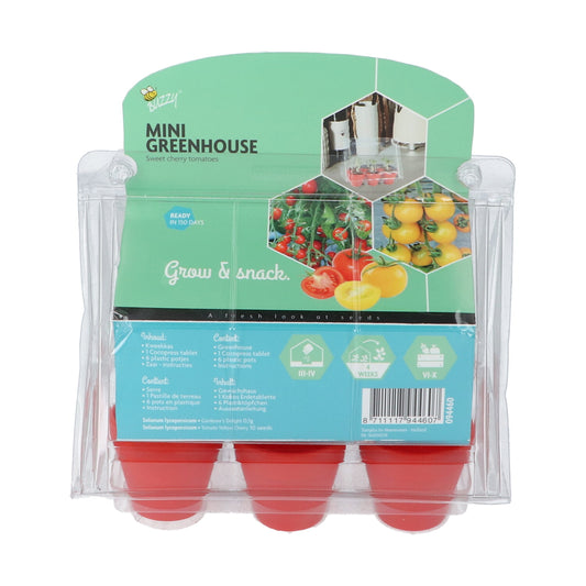 Mini-kasvihuoneen takapuoli – tuotetiedot ja sisältö.