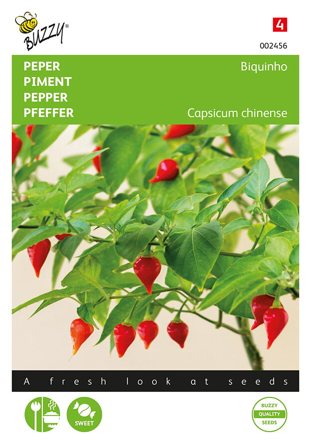 Pepper Biquinho -siemenpussin etupuoli, jossa näkyy kyynelmäisiä punaisia chilejä.