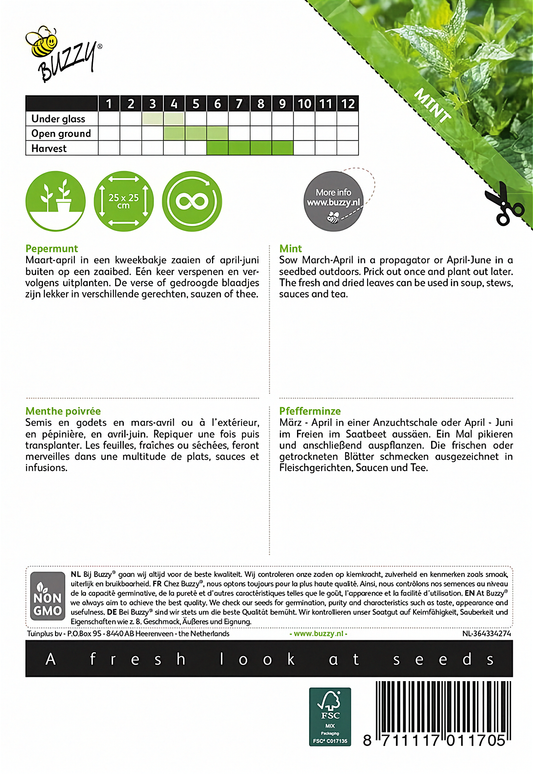 Back of the Buzzy® Peppermint (Mentha × piperita) seed packet with sowing and growing instructions.