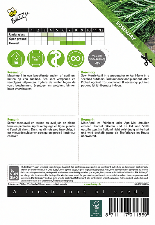 Back of the Buzzy® Rosemary (Rosmarinus officinalis) seed packet with sowing and growing instructions.