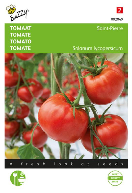 Saint Pierre tomaatin siemenet – Buzzy®