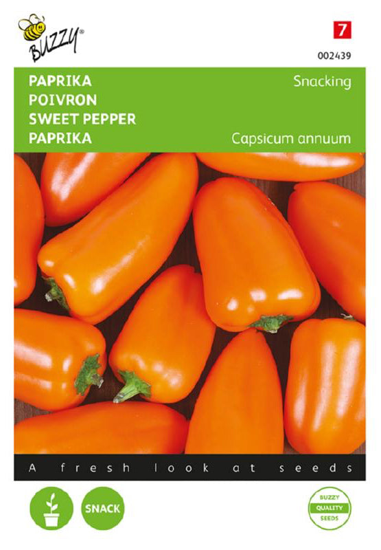 Snacking Mini Orange paprika siemenet – Capsicum annuum