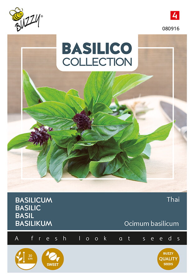 Thaibasilika – Buzzy Seeds -siemenpussin etupuoli thaibasilikan kuvalla